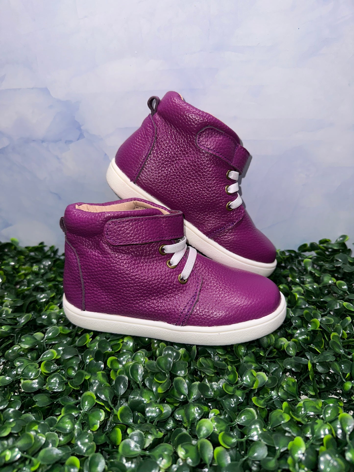 Carter Sneakers Purple