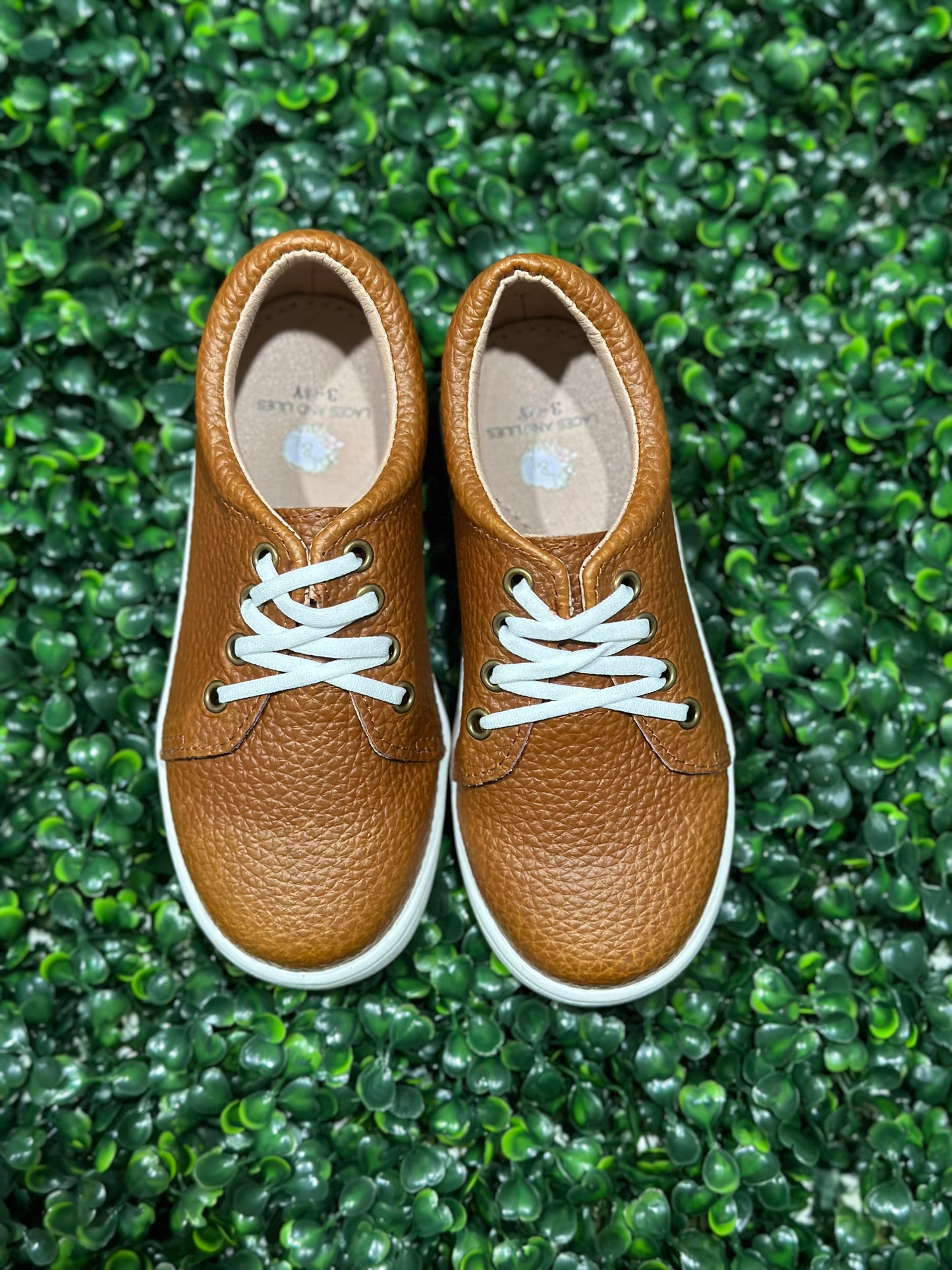 Magnolia Sneakers Brown