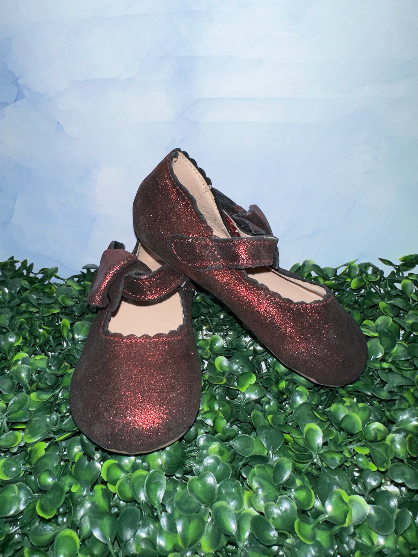 Dahlia Flats Ruby Red Enchanted