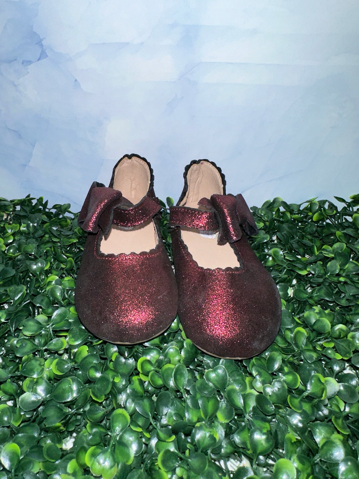 Dahlia Flats Ruby Red Enchanted