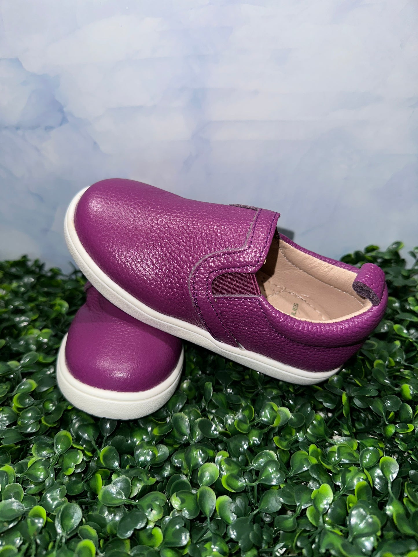 Tanner Sneakers Purple